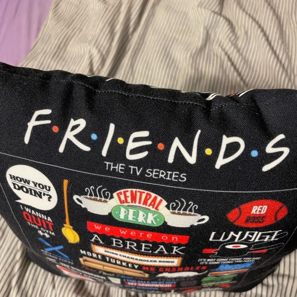 FRIENDS Tv Series Pillow